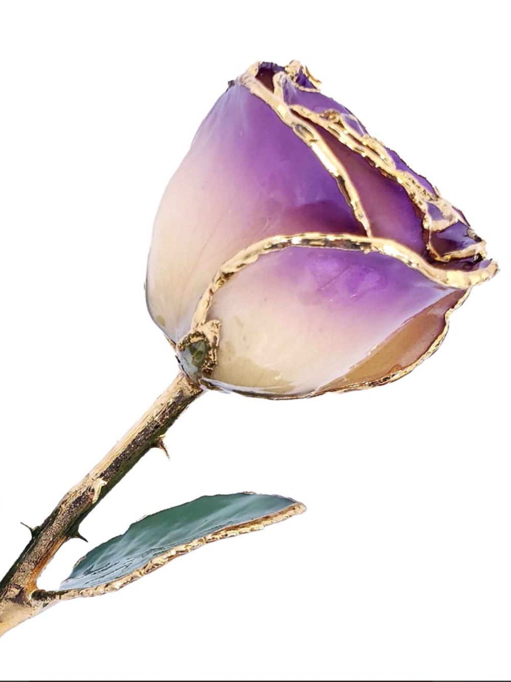 24K Gold Dipped White to Amethyst Rose💜 - Picture 7 of 11